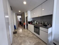 Amber Park (D15), Condominium #623727421